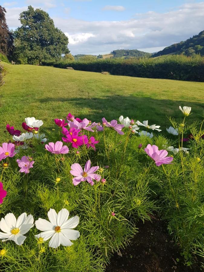 Eastwrey Barton Country House Lustleigh Luaran gambar