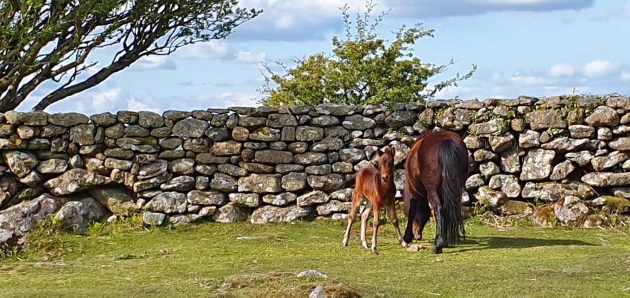 Eastwrey Barton Country House Lustleigh Luaran gambar
