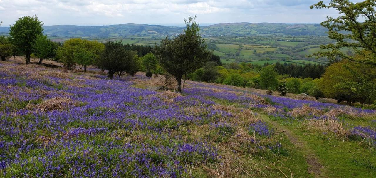 Eastwrey Barton Country House Lustleigh Luaran gambar